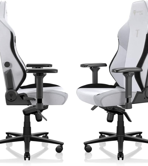 51bhfESQwAL._AC_SL1000_