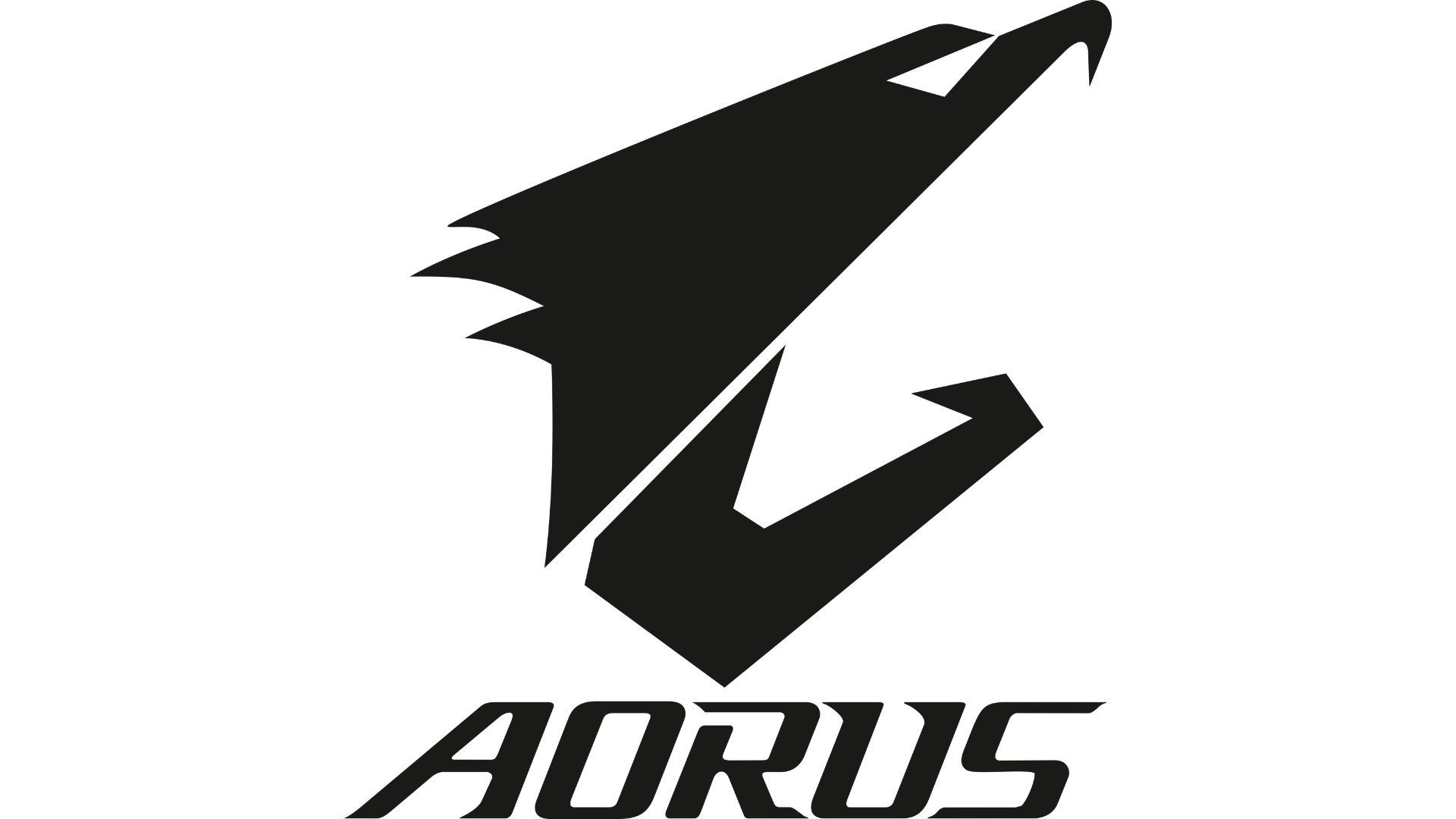 AORUS